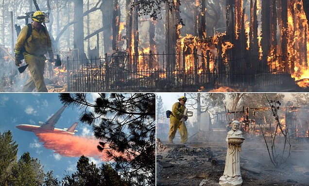 Kebakaran Musnahkan 800 Hektar Hutan di California